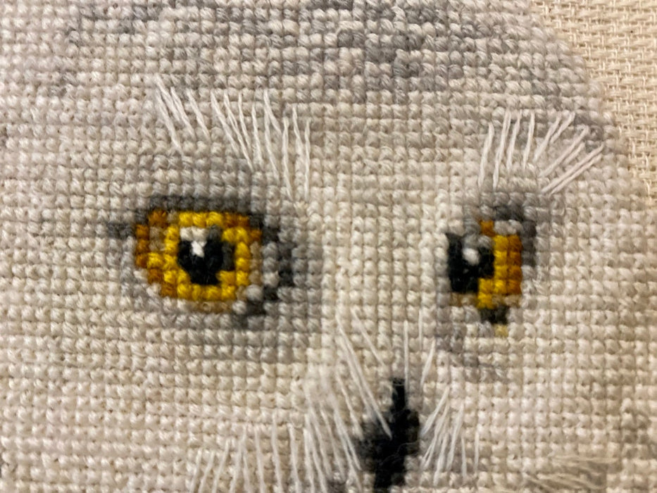 White Owl R1241 Counted Cross Stitch Kit