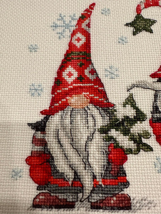 Gnomes 2171R Counted Cross Stitch Kit - Wizardi