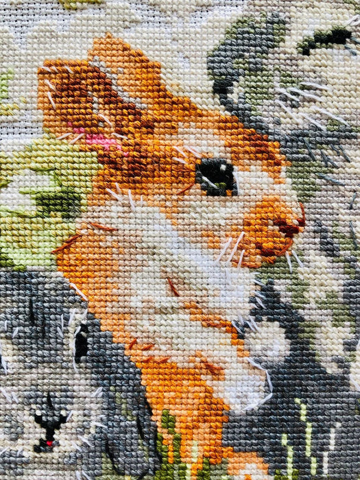 Funny Rabbits R1416 Counted Cross Stitch Kit