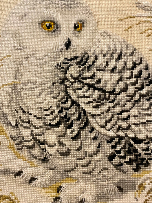 White Owl R1241 Counted Cross Stitch Kit