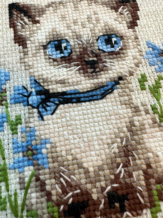 Siamese Kitten 2118R Counted Cross Stitch Kit - Wizardi