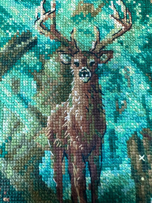 Forest Spirit 2116R Counted Cross Stitch Kit - Wizardi