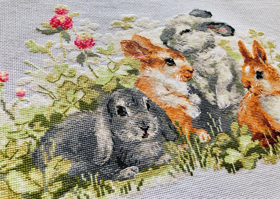 Funny Rabbits R1416 Counted Cross Stitch Kit