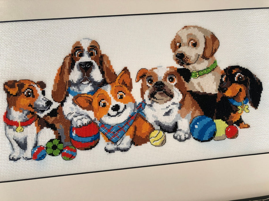 Dog Show R1923 Counted Cross Stitch Kit