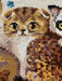 Kittens 2180R Counted Cross Stitch Kit - Wizardi