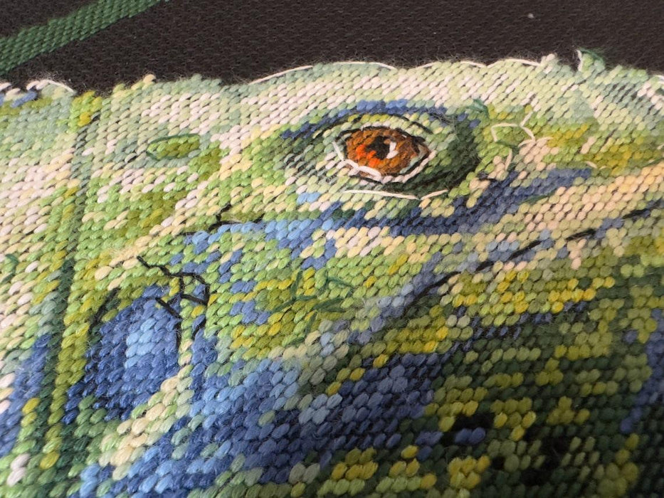 Iguana 2192R Counted Cross Stitch Kit - Wizardi