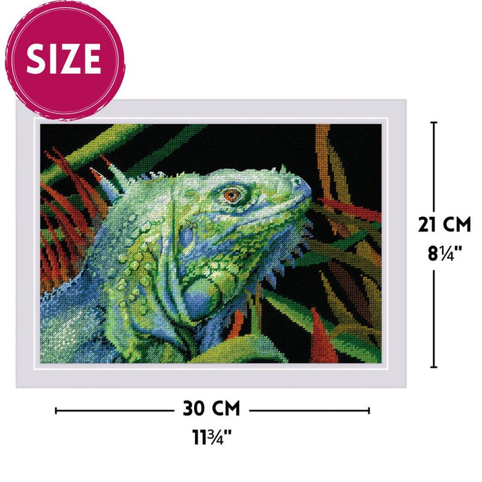 Iguana 2192R Counted Cross Stitch Kit - Wizardi