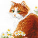 Ginger Meow 2110R Counted Cross Stitch Kit - Wizardi