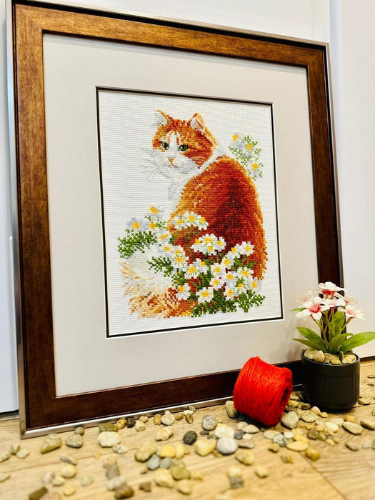 Ginger Meow 2110R Counted Cross Stitch Kit - Wizardi