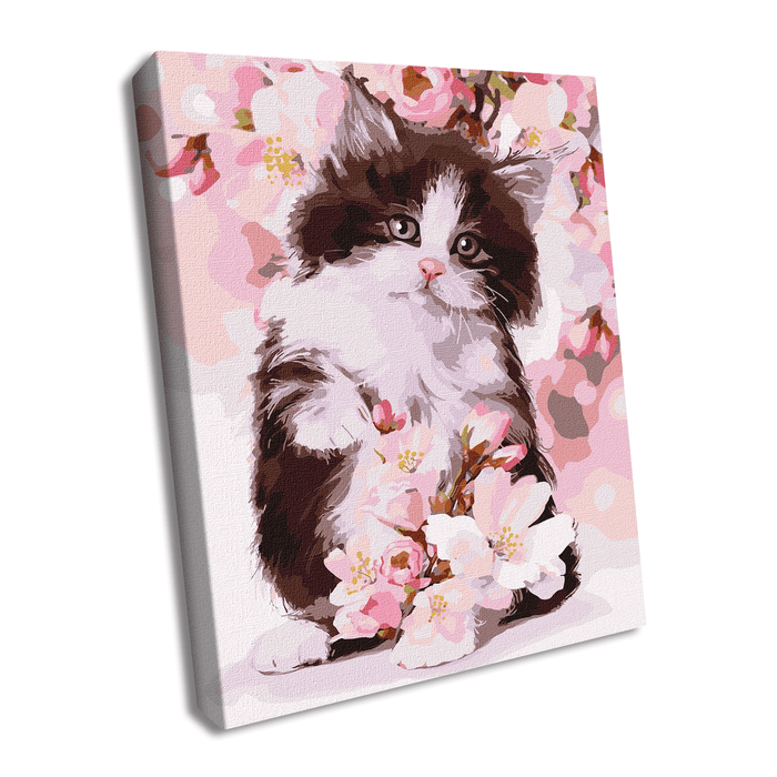 Painting by Numbers kit Fluffy kitten KHO4383 - Wizardi