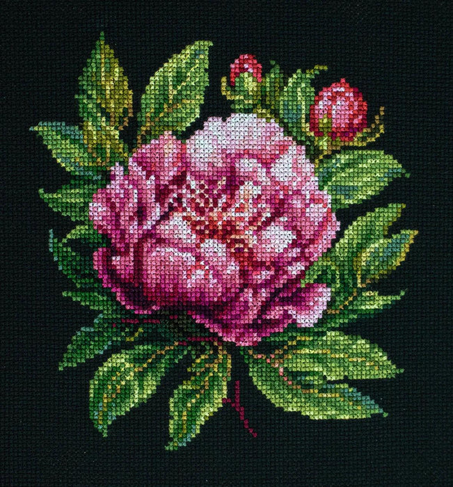 Peter Brand Peony BC204l Counted Cross-Stitch Kit - Wizardi