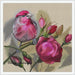 Roses - PDF Cross Stitch Pattern - Wizardi