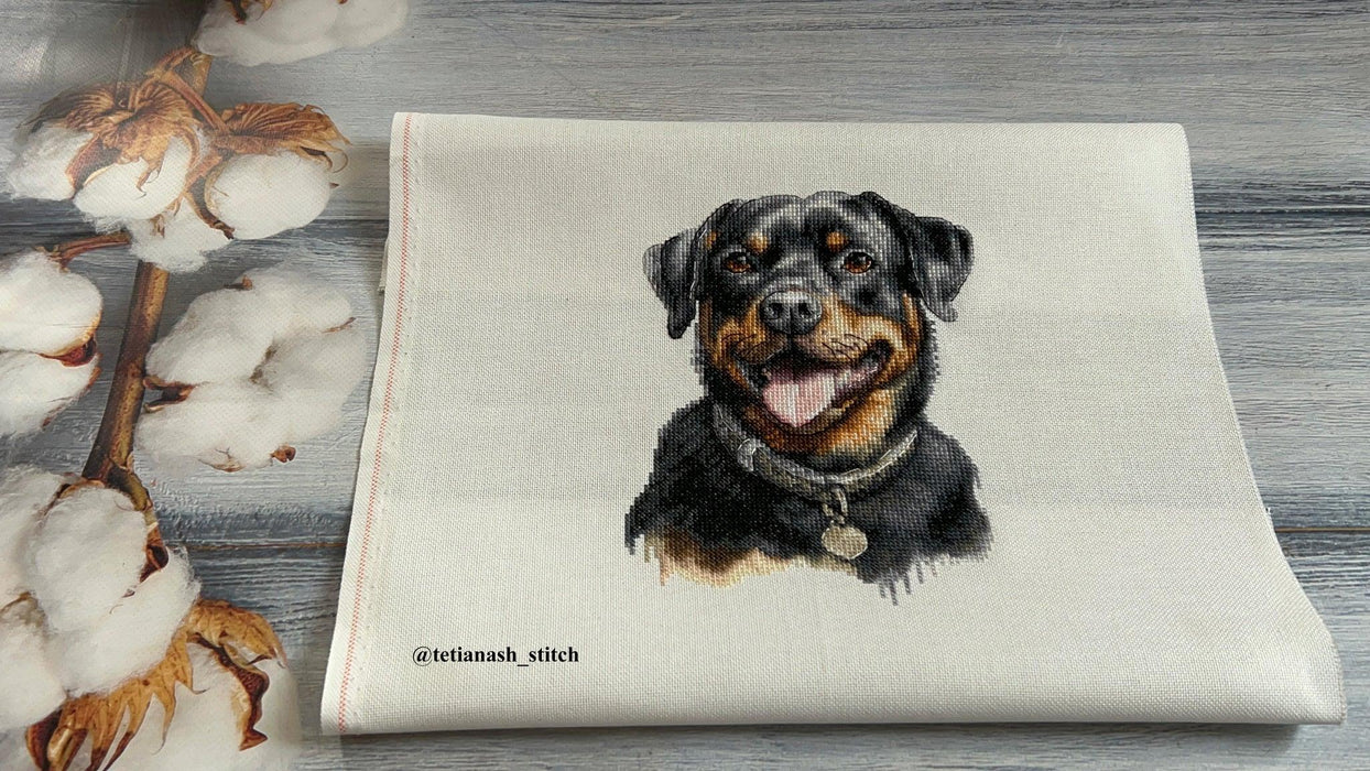 Rottweiler BC229L Counted Cross-Stitch Kit - Wizardi