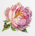 Rozella Peony BC206l Counted Cross-Stitch Kit - Wizardi