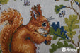 Squirrel K-146A Counted Cross-Stitch Kit - Wizardi