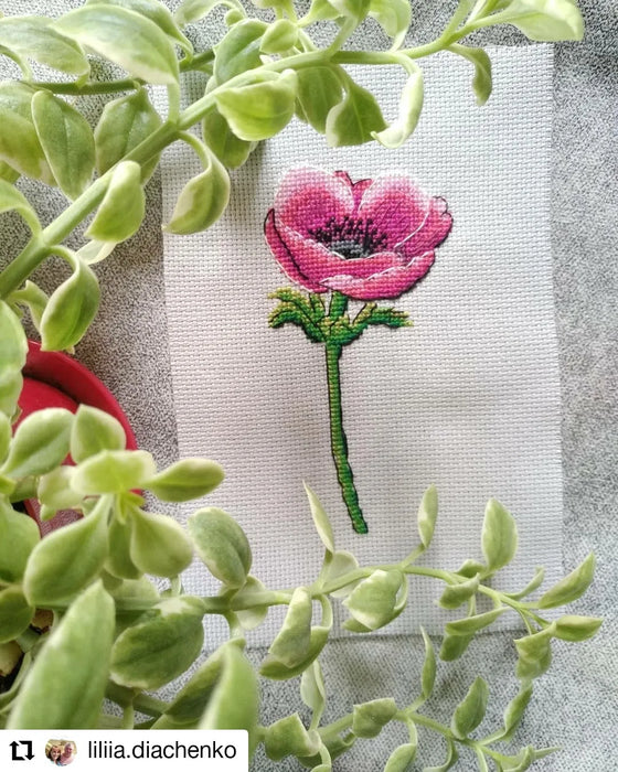 Anemone - PDF Cross Stitch Pattern