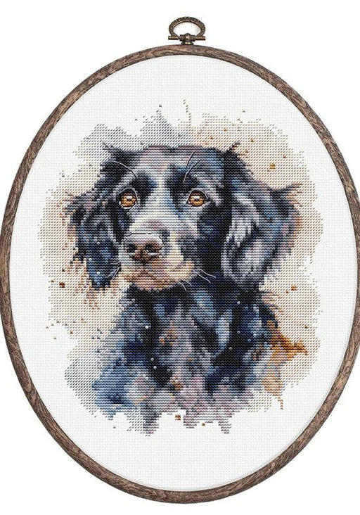 The Border Collie BC213L Counted Cross-Stitch Kit - Wizardi