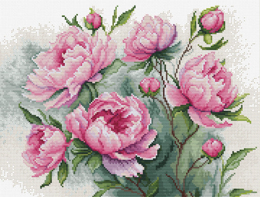 The Charm of Peonies b7019l Counted Cross-Stitch Kit - Wizardi