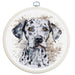 The Dalmatian BC208l Counted Cross-Stitch Kit - Wizardi