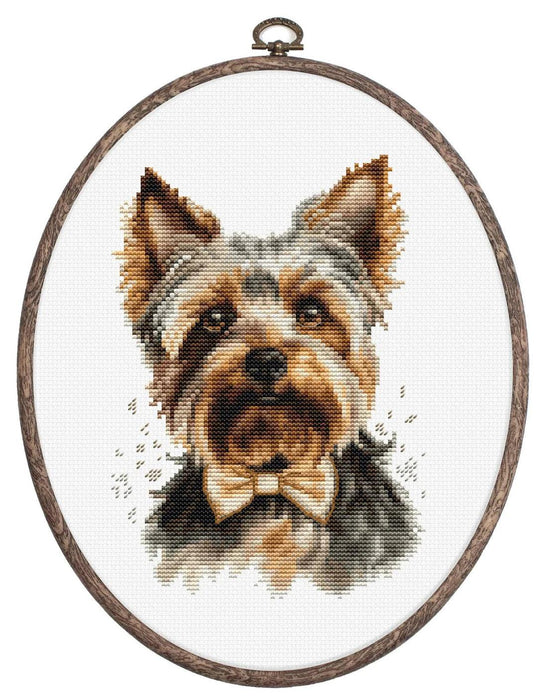 The Yorkshire Terrier BC228L Counted Cross-Stitch Kit - Wizardi