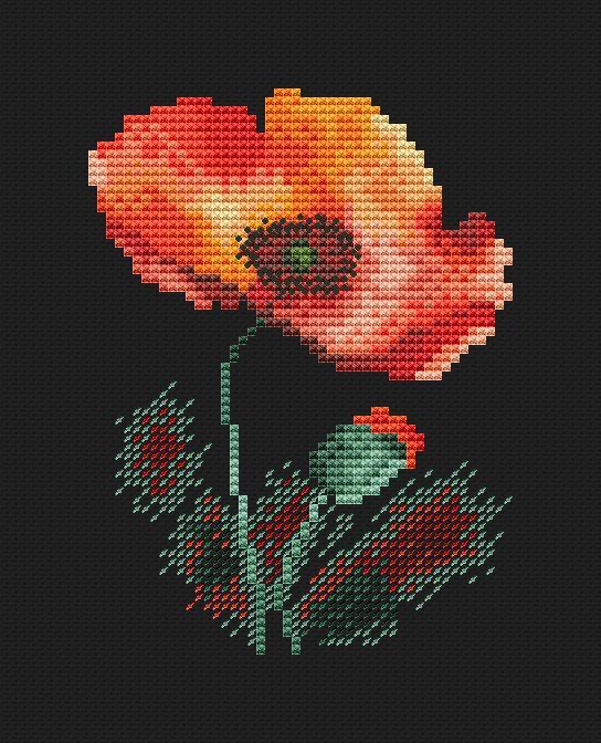 Watercolor Poppy On Black 1 - PDF Cross Stitch Pattern - Wizardi