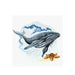 Whale 8902 Counted Cross-Stitch Kit - Wizardi