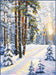 A winter road 727 Counted Cross Stitch Kit - Wizardi