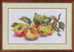 Apples 5-09 Counted Cross-Stitch Kit - Wizardi