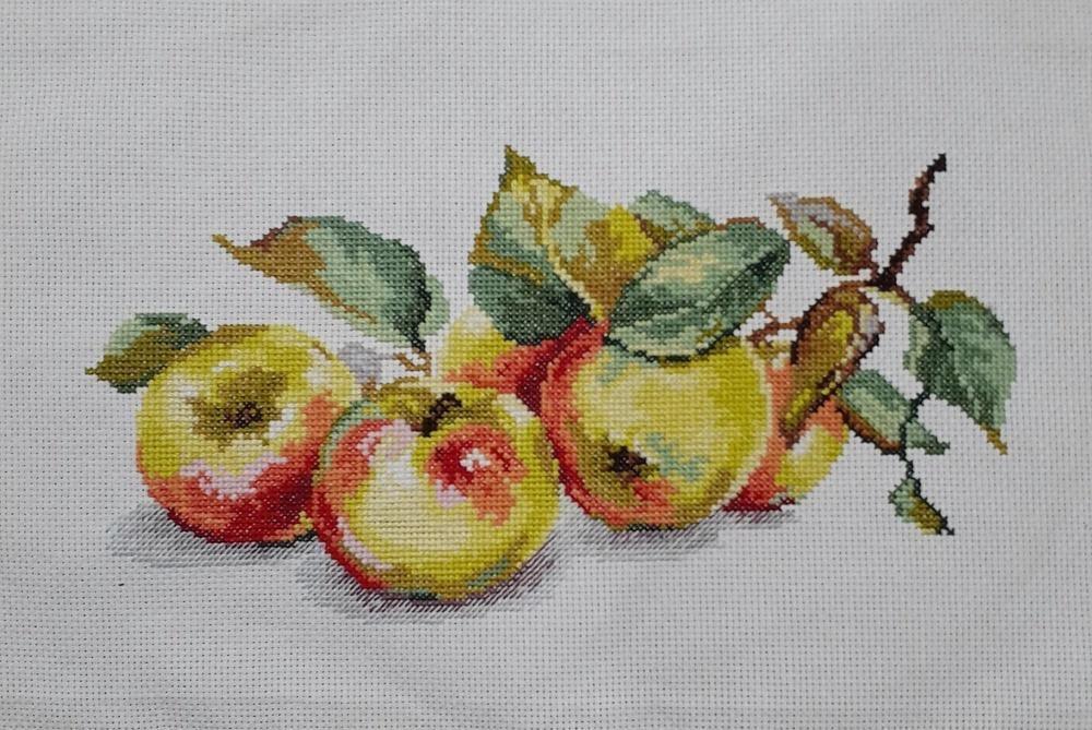 Apples 5-09 Counted Cross-Stitch Kit - Wizardi