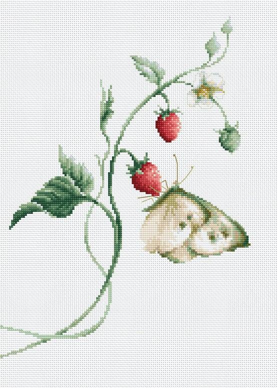 Aroma of Summer B2268L Counted Cross-Stitch Kit - Wizardi