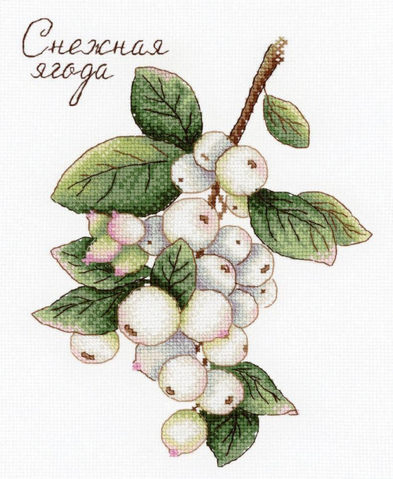 Berries SNV-662 Counted Cross Stitch Kit - Wizardi