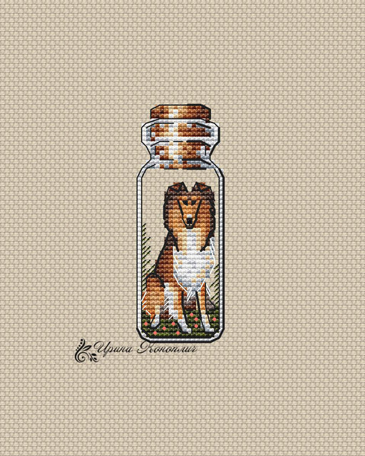 Border Collie Bottle on Plastic Canvas - Dog Puppy PDF Counted Cross Stitch Pattern - Wizardi