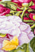 Bouquet with peonies B2354L Counted Cross-Stitch Kit - Wizardi