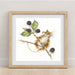 Brambles XHD91 Counted Cross Stitch Kit - Wizardi