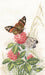 Butterflies on cllover M521 Counted Cross Stitch Kit - Wizardi