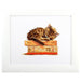 Cat's dream M642 Counted Cross Stitch Kit - Wizardi