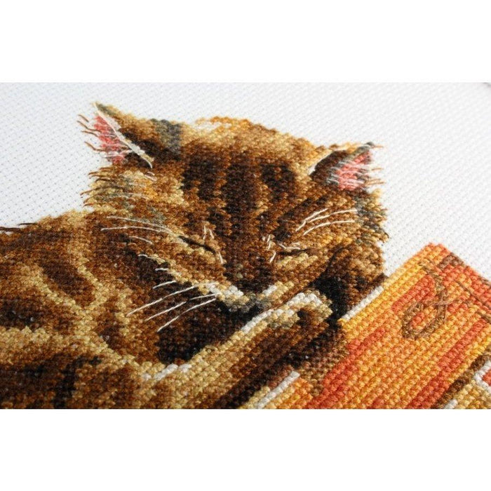 Cat's dream M642 Counted Cross Stitch Kit - Wizardi