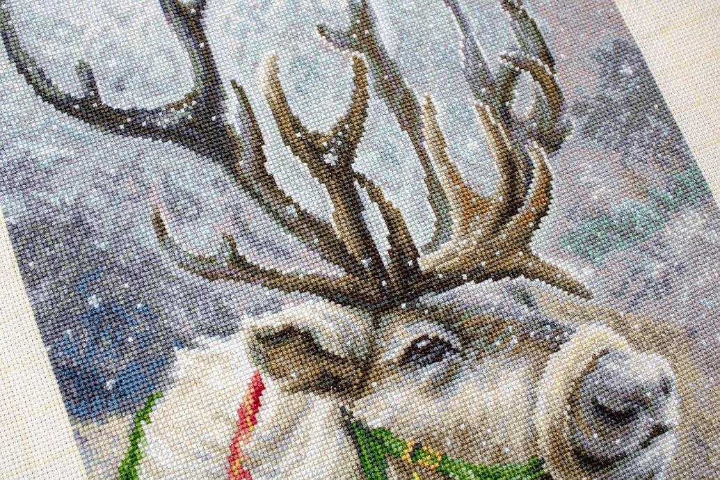 Christmas Deer B598L Counted Cross-Stitch Kit - Wizardi