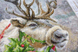 Christmas Deer B598L Counted Cross-Stitch Kit - Wizardi