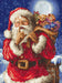 Counted Cross Stitch Kit Santa Christmas secret L8000 - Wizardi