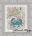 Crab. Marine Design - PDF Free Cross Stitch Pattern - Wizardi