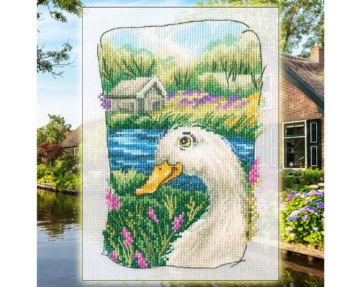 Cross-stitch Kit "Grandmother's old garden" C341 - Wizardi