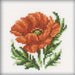 Cross-Stitch Kit "Poppy" H167 - Wizardi