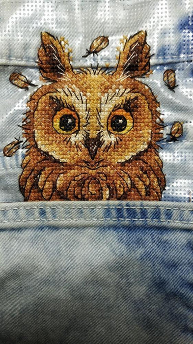 Cross Stitch on Clothes Curious Owl B-245 / SV-245 - Wizardi