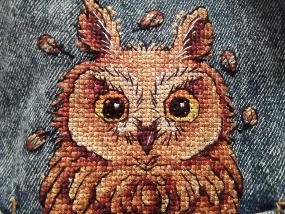 Cross Stitch on Clothes Curious Owl B-245 / SV-245 - Wizardi