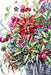 December Bouquet B7002L Counted Cross-Stitch Kit - Wizardi