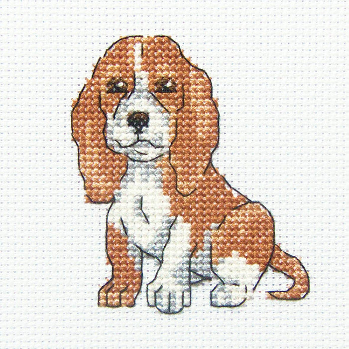 Eared Baddy H234 Counted Cross Stitch Kit - Wizardi