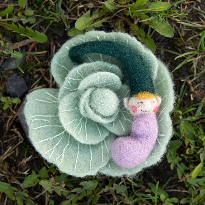 Felting kit V-86C "Beginning of life" - Wizardi