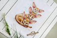 Fennec Fox Family SM-509 Counted Cross Stitch Kit - Wizardi