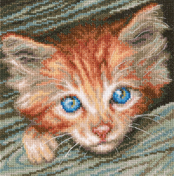 Fluffy observer M710 Counted Cross Stitch Kit - Wizardi